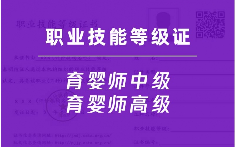 育嬰員中級-育嬰師高級-職業(yè)技能等級證培訓